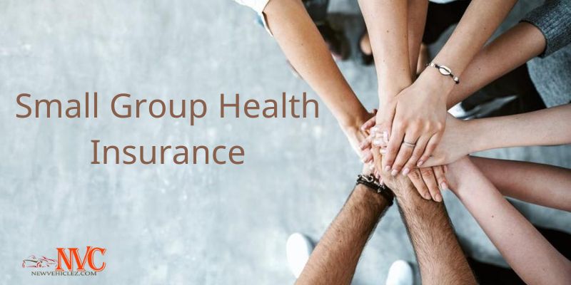 Small Group Health Insurance