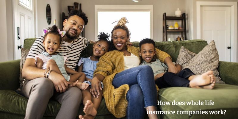 How does whole life insurance companies work?