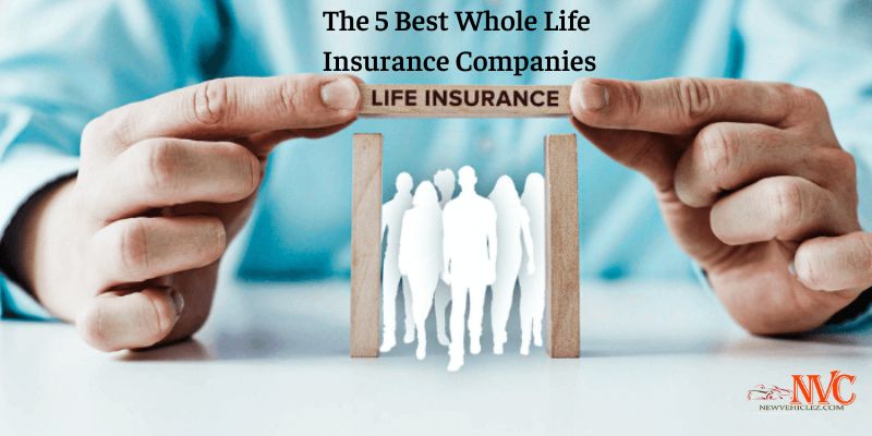 The 5 Best Whole Life Insurance Companies